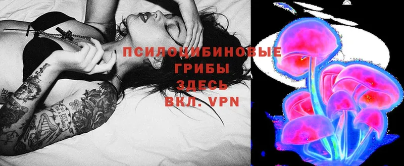 Галлюциногенные грибы Psilocybe  Верхняя Тура 